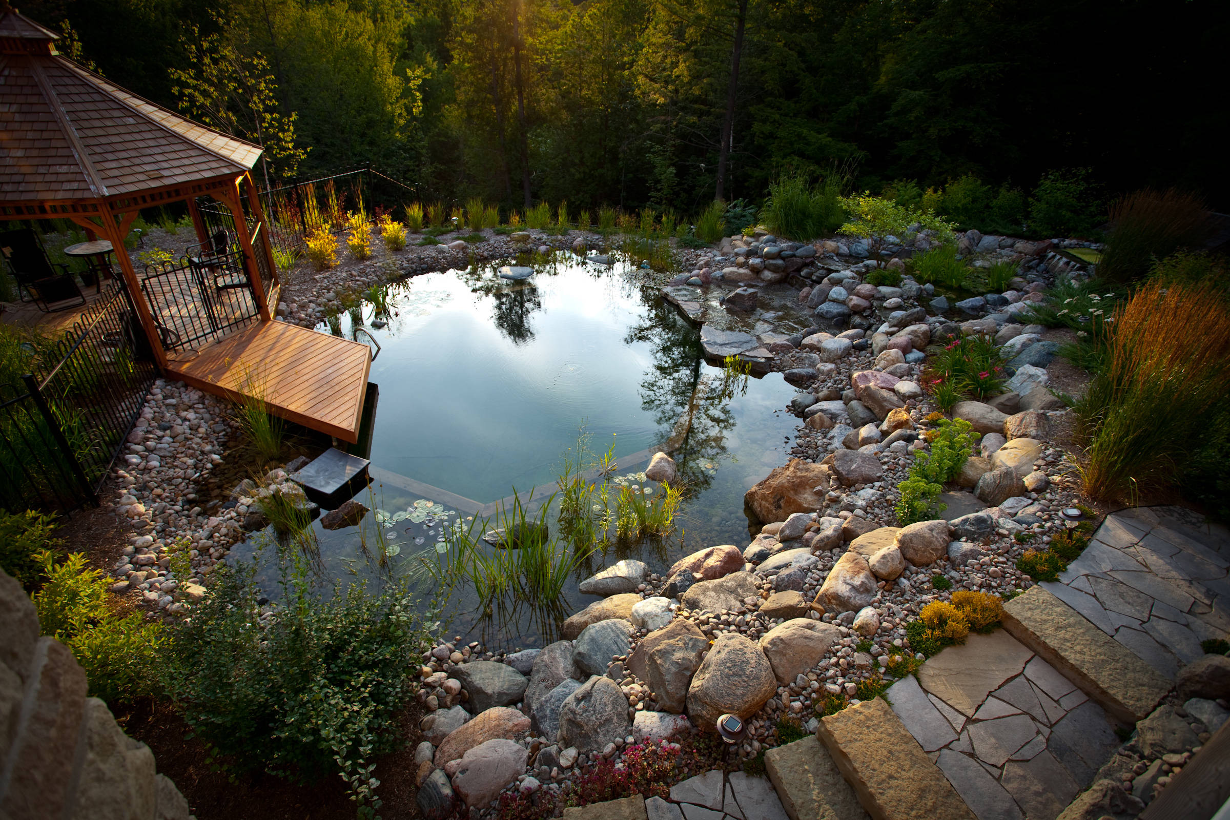 Naturalistic Pool - North Bay Aquatics
